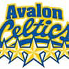 Avalon Minor Hockey Association