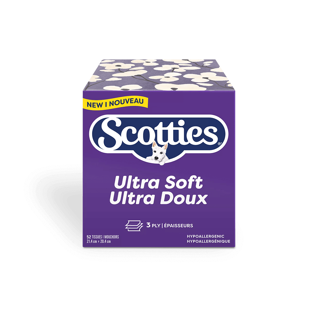 Scotties cubes 1