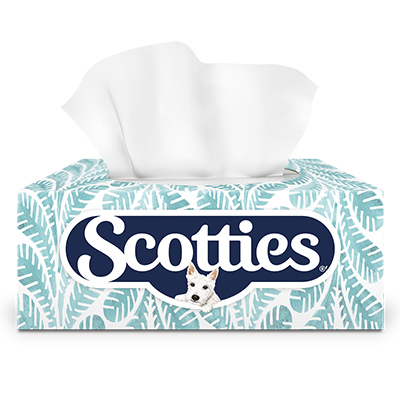 Scotties