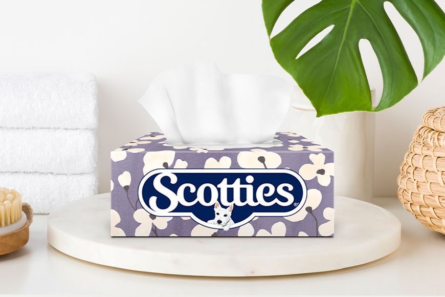 Boite de Scotties