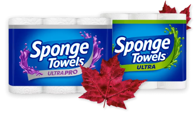 spongetowels 