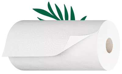 bonterra_mini_papertowel