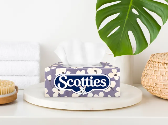 Boite de Scotties