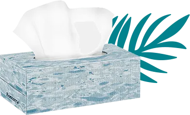 Bonterra Facial Tissues