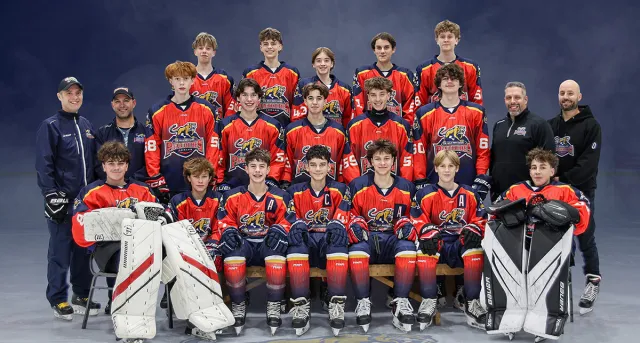 Association de Hockey Mineur Lac des Deux-Montagnes (Quebec)