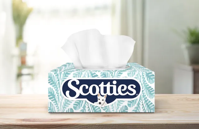 Scotties