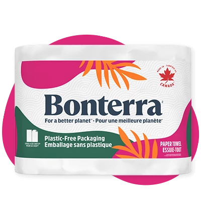 Paper Towel