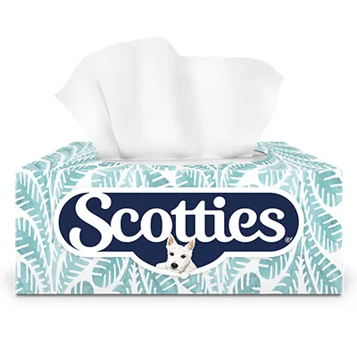 Scotties