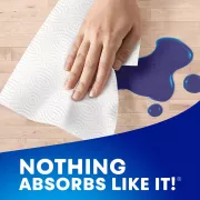 nothing absorbs like it