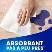 absorbant pas a peu pres
