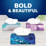 bold & beautiful