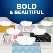 bold & beautiful