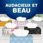 audacieux et beau