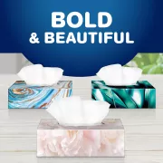 bold & beautiful