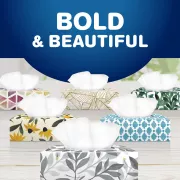bold & beautiful