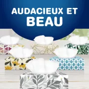 audacieux et beau