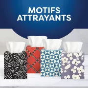Scotties cubes 2