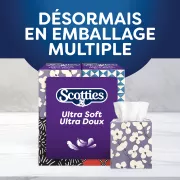 Scotties cubes 2
