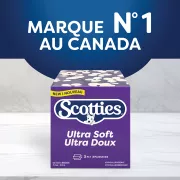 Scotties cubes 3