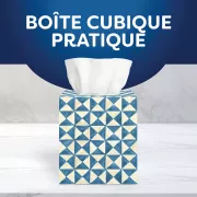 Scotties cubes 4