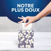 Scotties cubes 6