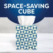 Scotties cubes 4
