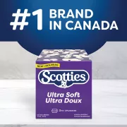 Scotties cubes 3