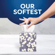 Scotties cubes 5