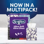 Scotties cubes 6
