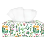 scotties premium