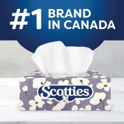 scotties soft