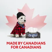 scotties soft