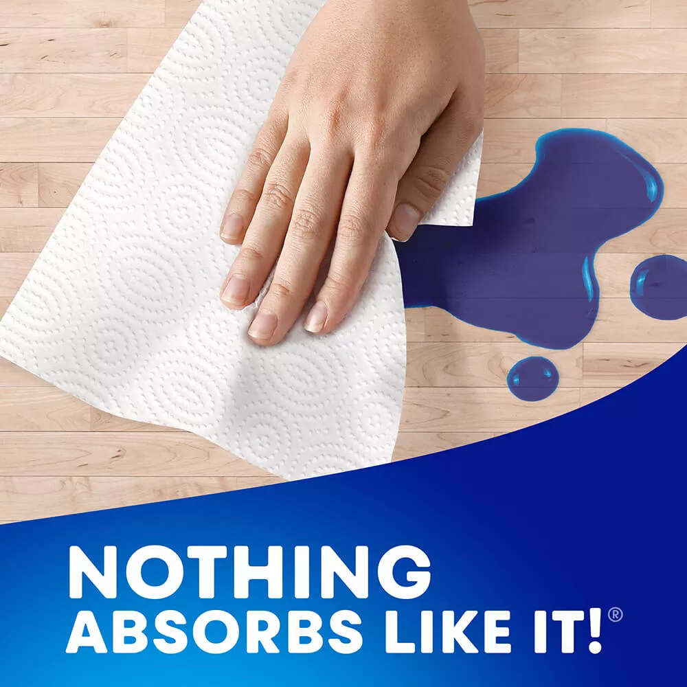 nothing absorbs like it