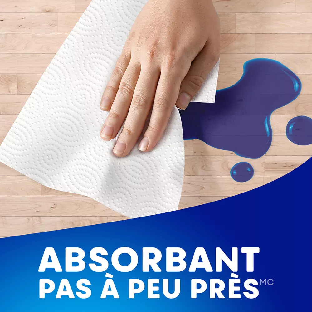 absorbant pas a peu pres