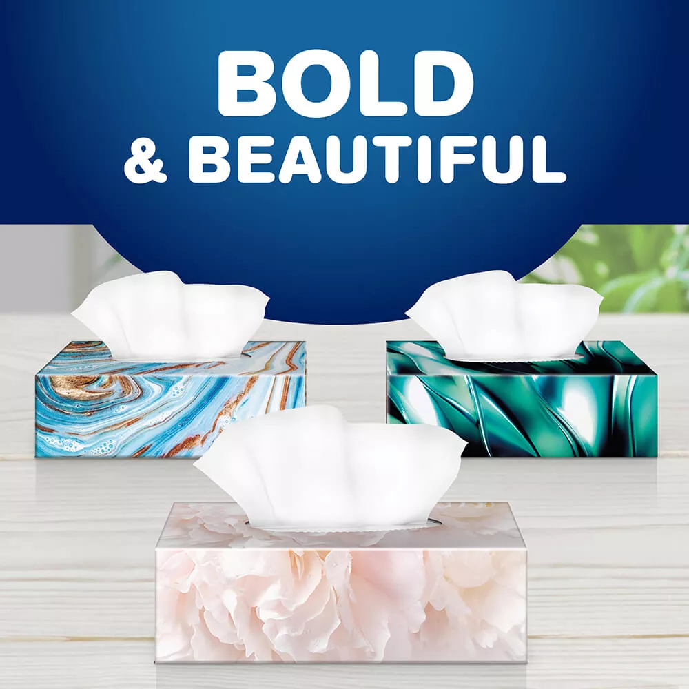 bold & beautiful