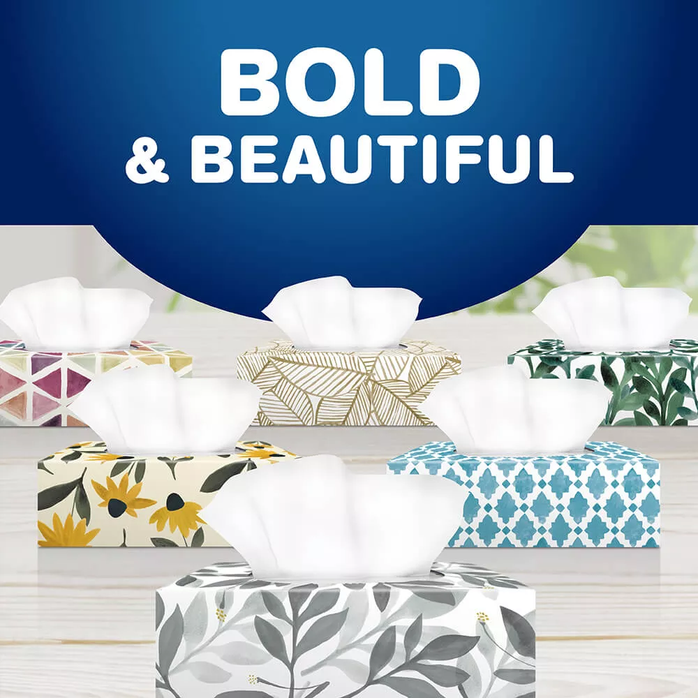 bold & beautiful