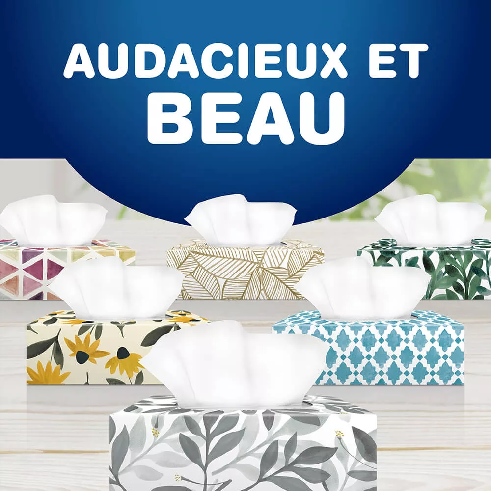 audacieux et beau