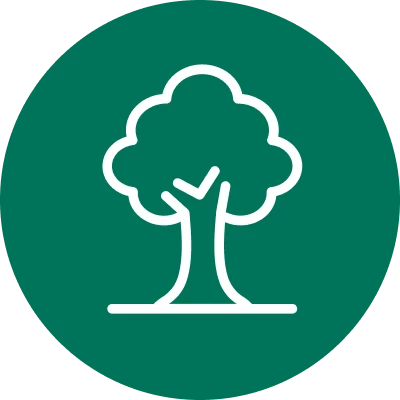 sustainability_tree