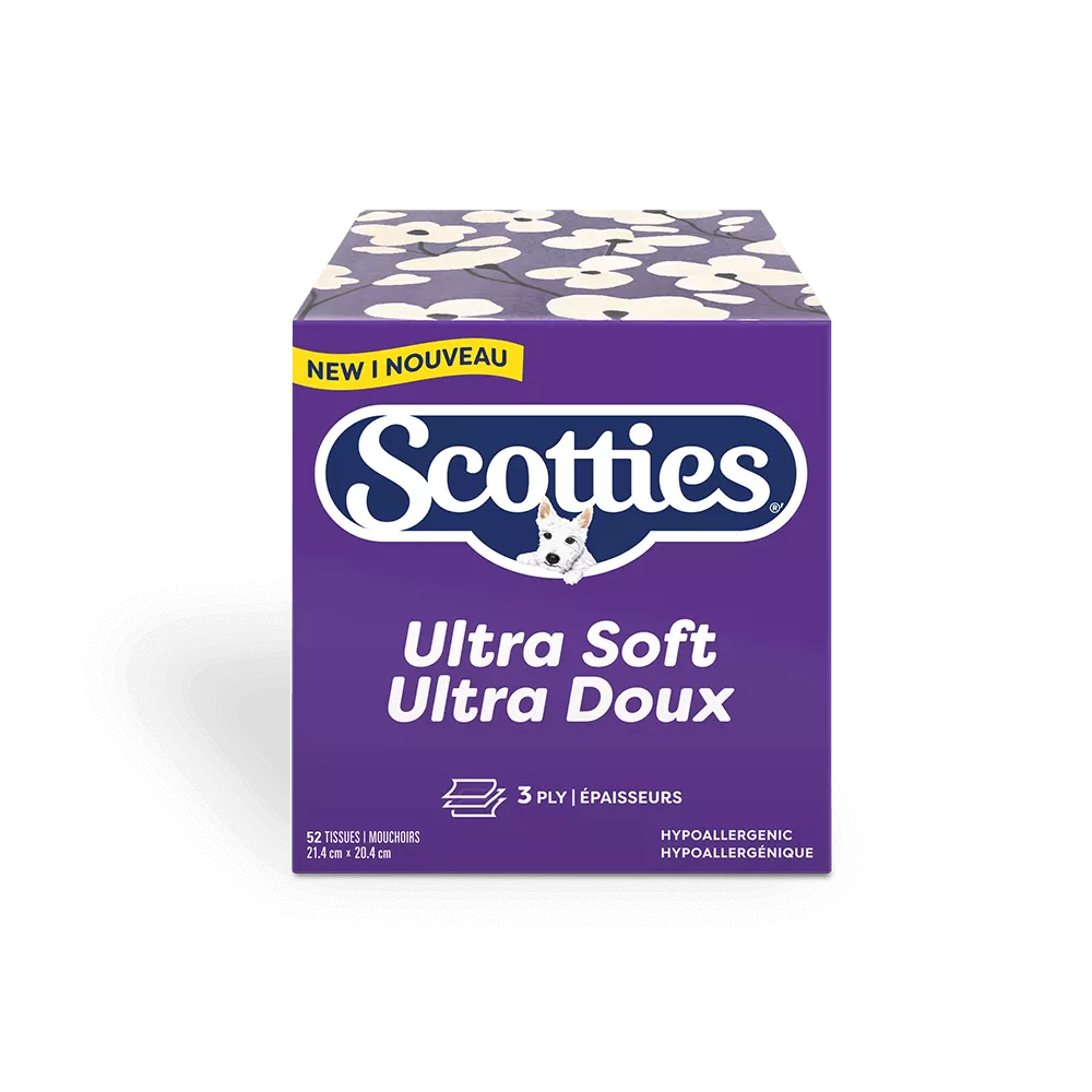 Scotties cubes 1