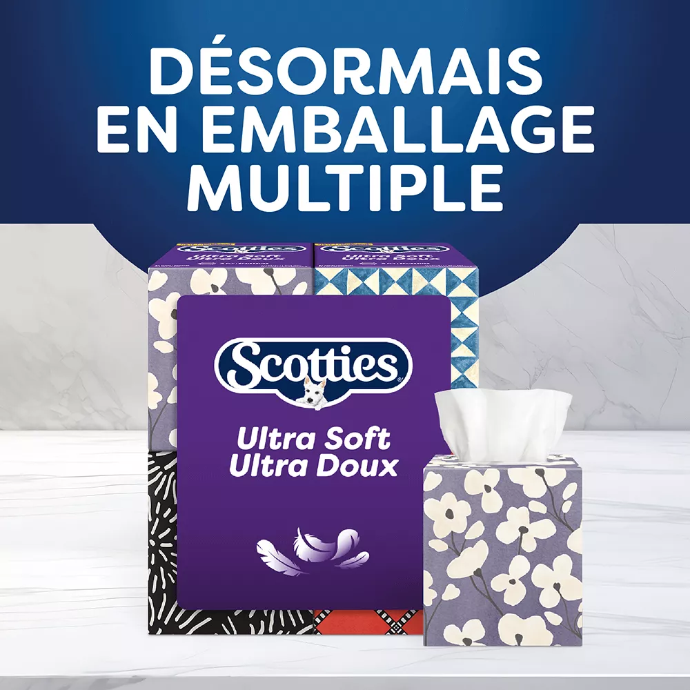 Scotties cubes 2