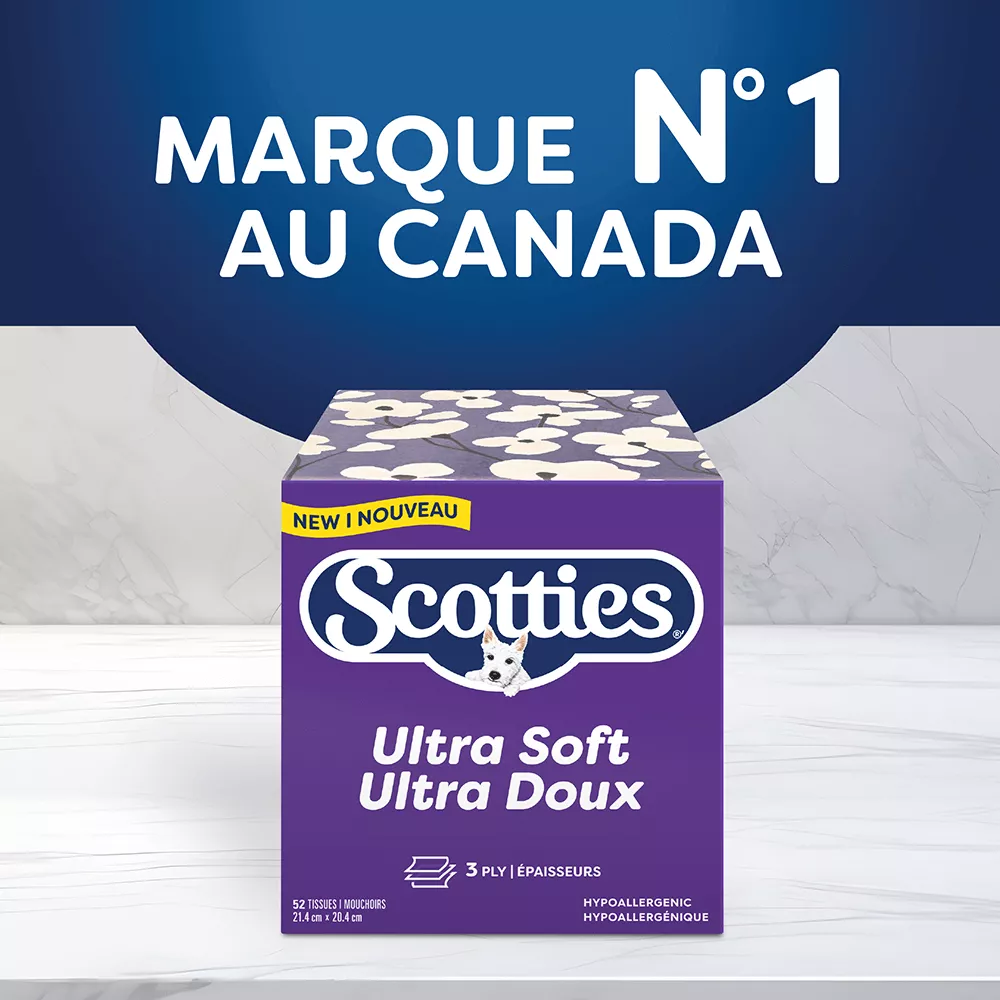 Scotties cubes 3