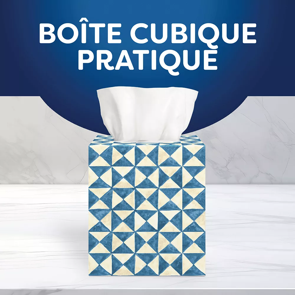 Scotties cubes 4