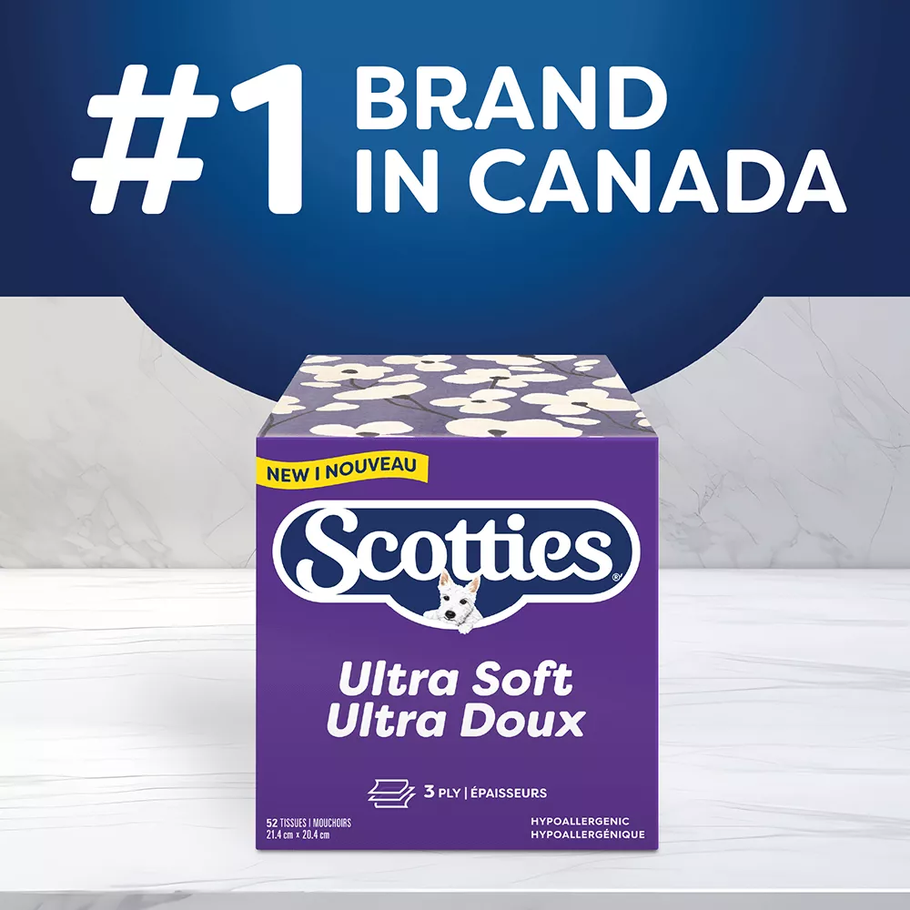 Scotties cubes 3