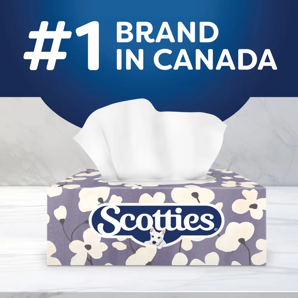scotties soft